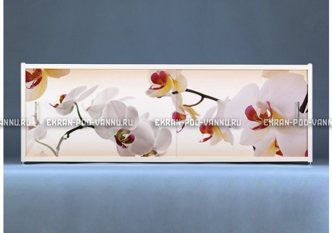 Раздвижной ФОТО экран - Orchid – купить по цене 8500 руб. в интернет-магазине в городе Мурманск картинка 1