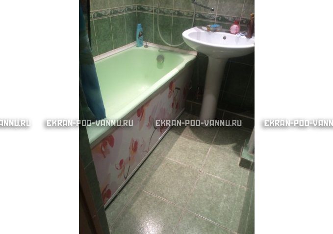 Раздвижной ФОТО экран - Orchid – купить по цене 8500 руб. в интернет-магазине в городе Мурманск картинка 6