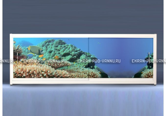 Экран на роликах EUROPLEX Коралловые рифы – купить по цене 12400 руб. в интернет-магазине в городе Мурманск картинка 1